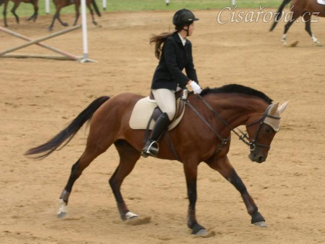 Opracování před parkurem ZL