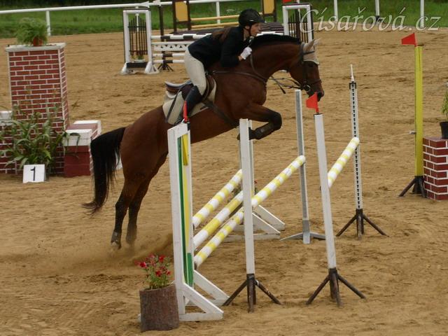 Rozeskakování parkuru ZL