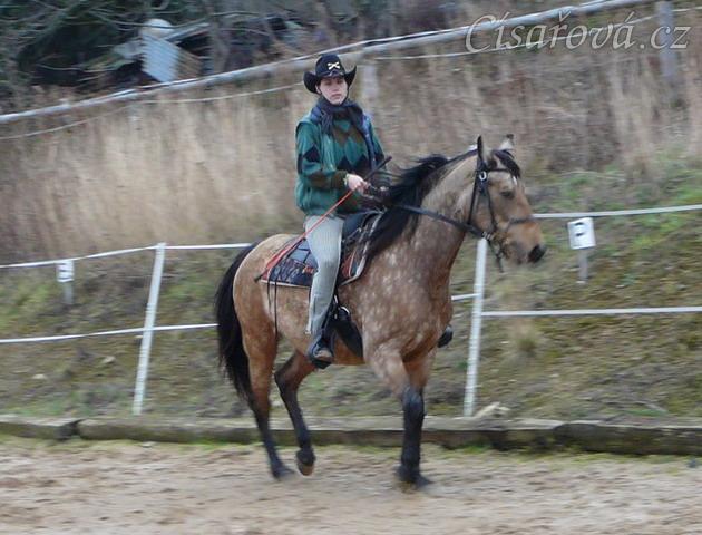 Ohýbání v klusu byl ze začátku velký problém