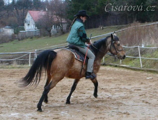 První pokusy o ohnutí na kruhu v klusu