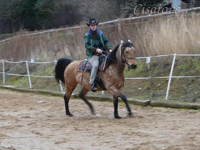 Klus a vzteklá Keisy