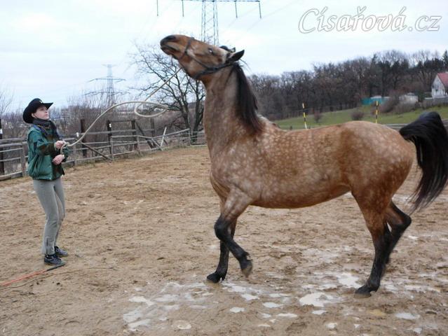 Ze začátku práce ze země byly různé konflikty - couvání