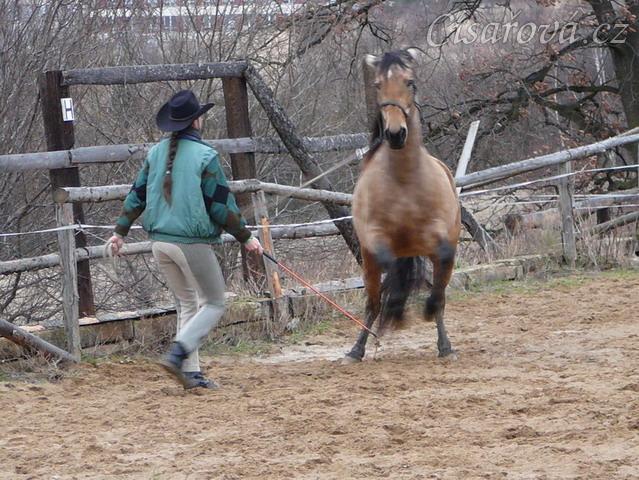 Ze začátku práce ze země byly různé konflikty - ustupovaní podél stěny