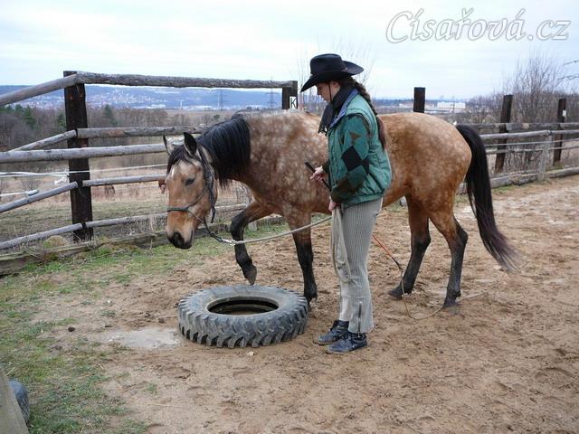 Stlačovací hra, cílem je v tomto případě dát nohu do pneumatiky...