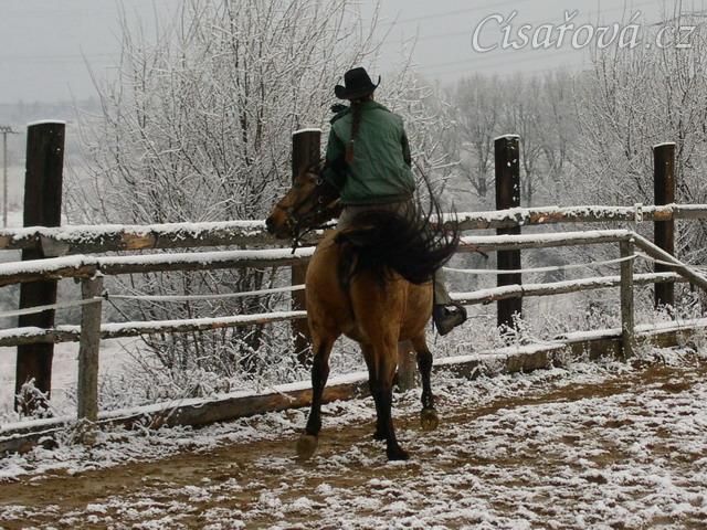 Ustupování na holeň