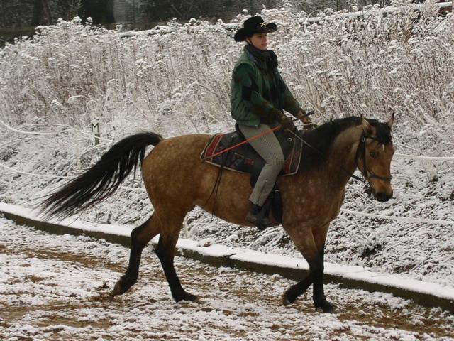 Keisy ohnutá na kruhu