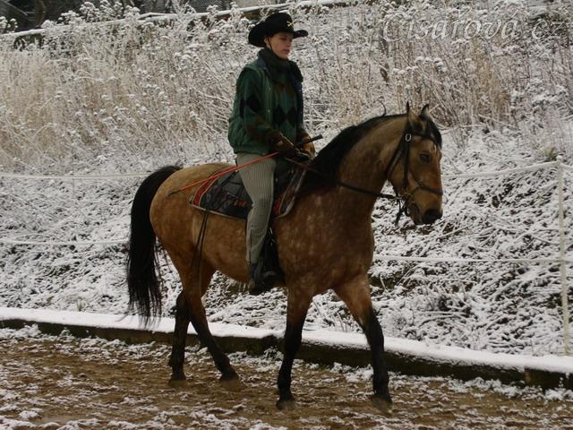 Keisy v klusu, je i trochu na otěži
