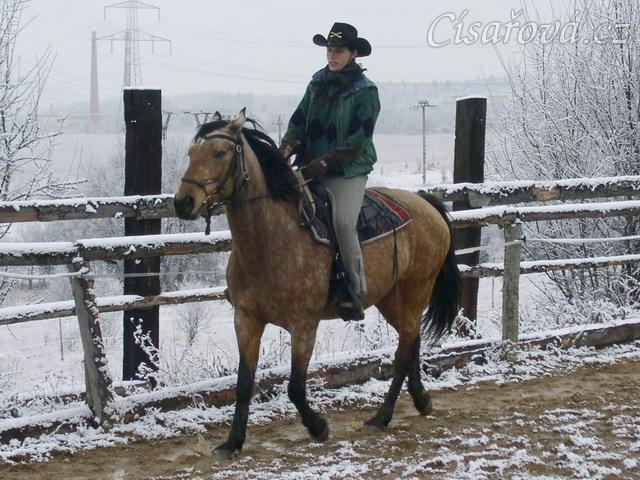Keisy v klusu kolem jízdárny