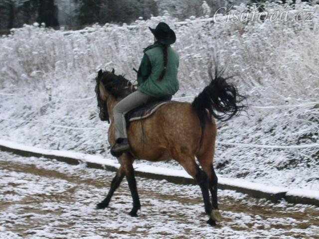 Vzteklé nacválání