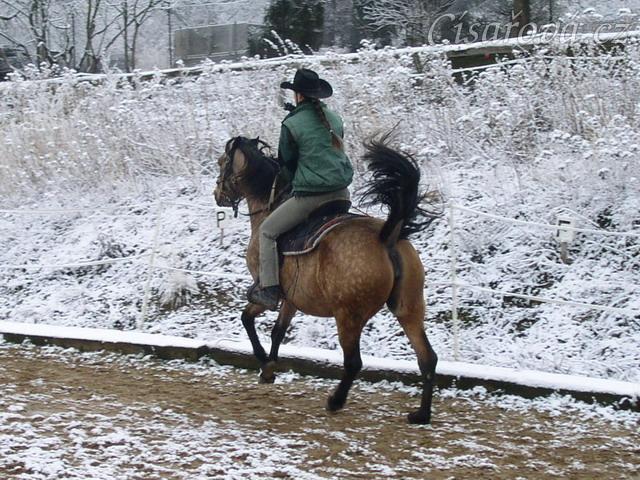 Cval, těsně po vyhození