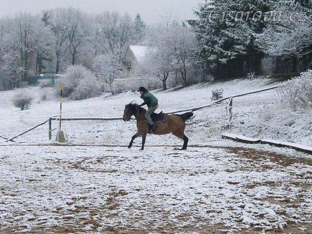 Cval, Keisy právě vyhodila, ona už ale dopadla, kdežto já ještě ne :-)
