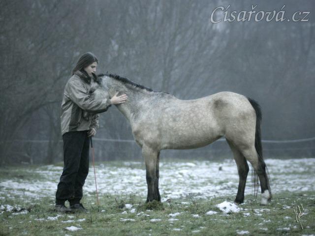 Greisy při práci, foto Tereza Huclová