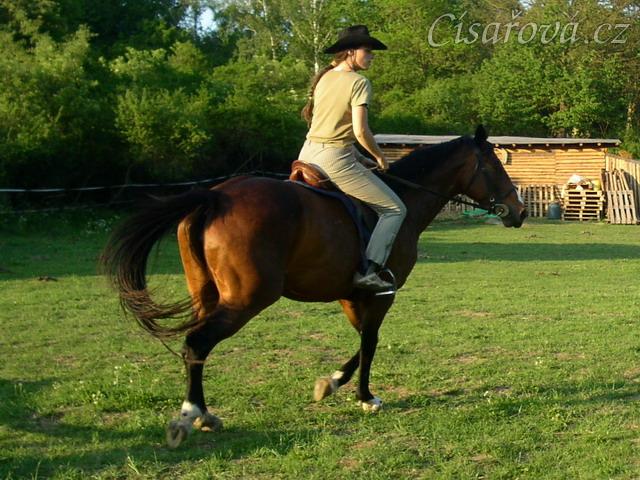 Klus na jízdárně, ohnutí na kruhu bylo ze začátku trochu problém