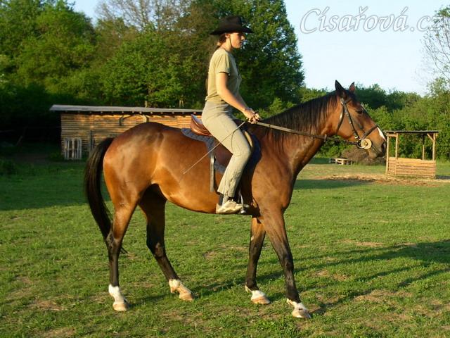 zastavení, snaha o couvání