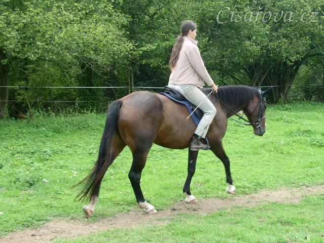 Krok na volné otěži