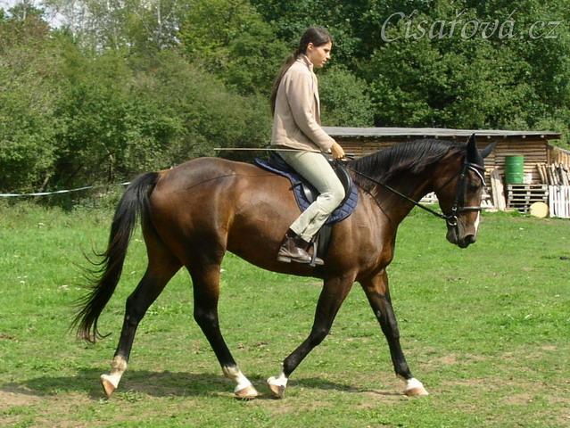 Klus na jízdárně, začínáme pracovat na sebrání