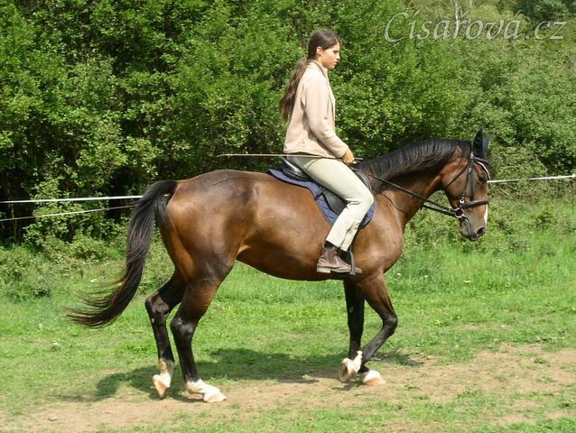 Klus na jízdárně, začínáme pracovat na sebrání