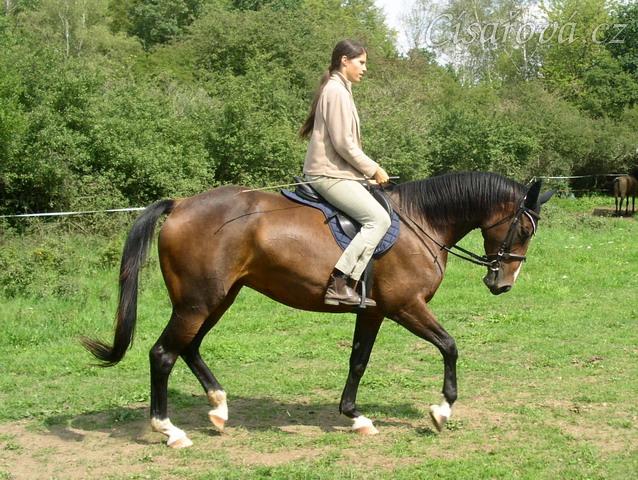 Klus na jízdárně, začínáme pracovat na sebrání