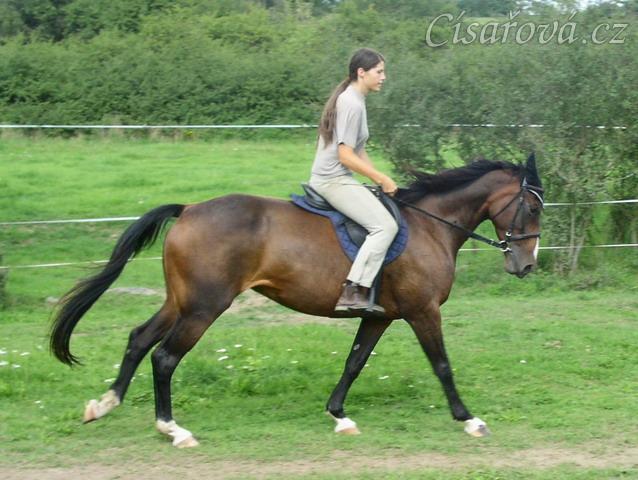 Cval na jízdárně, začínáme pracovat na sebrání