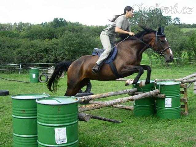 Skákání Czaju moc baví, skáče ochotně