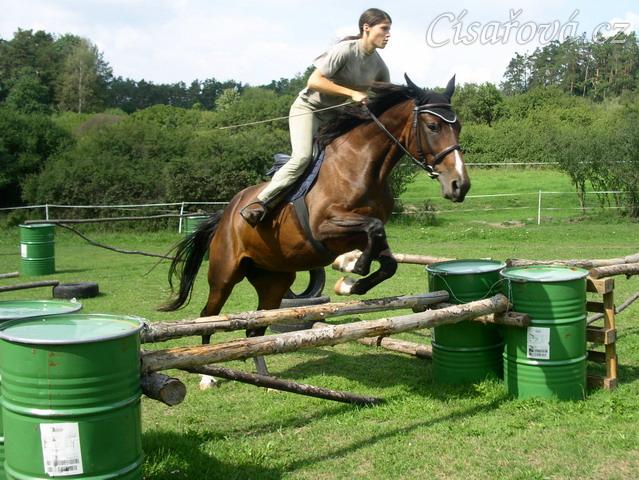 Skákání Czaju moc baví, skáče ochotně