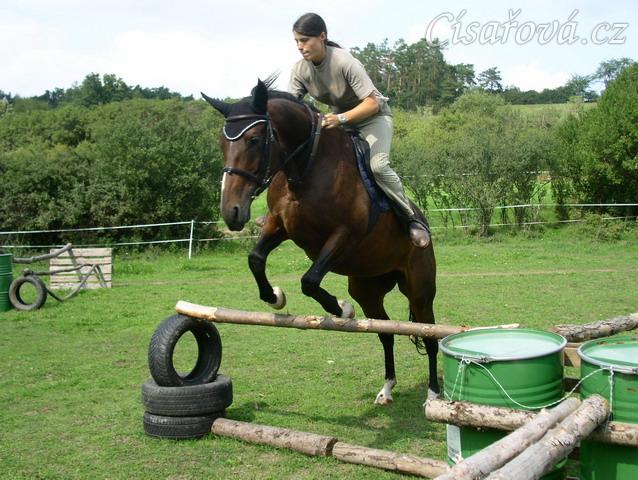 Skákání Czaju moc baví, skáče ochotně