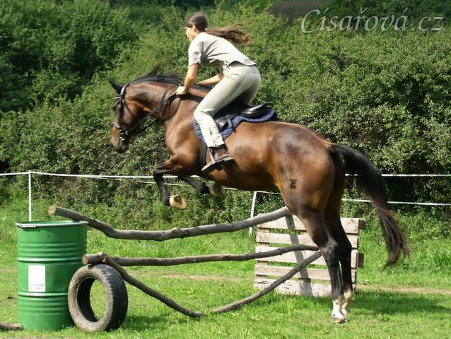 Skákání Czaju moc baví, skok směrem z kopce