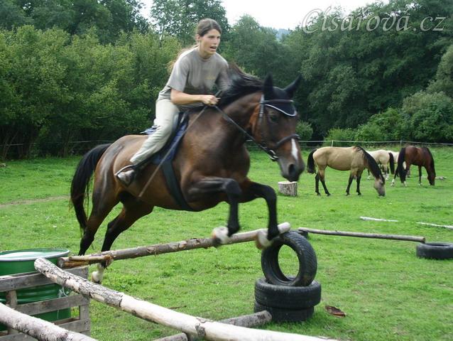 Skákání Czaju moc baví, skáče ochotně