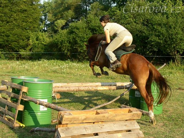 Janek skáče skoky na jízdárně