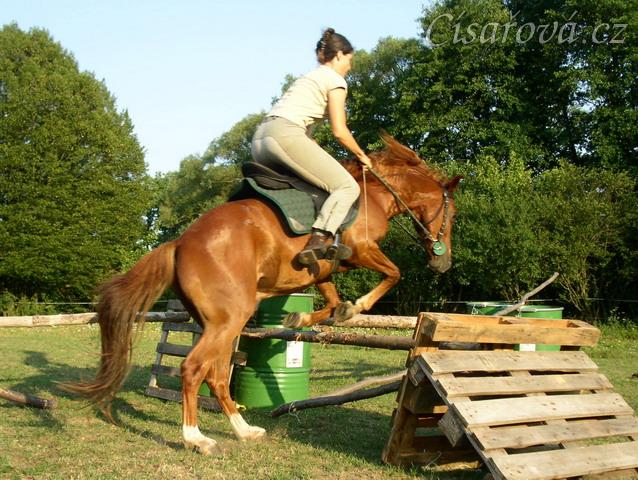 Janek skáče skoky na jízdárně