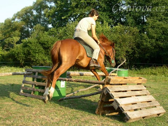 Janek skáče skoky na jízdárně