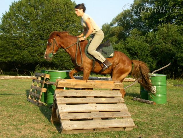 Janek skáče skoky na jízdárně