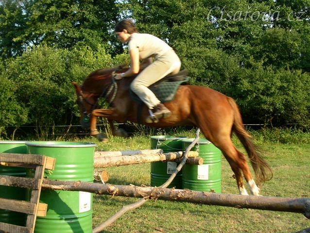 Janek skáče skoky na jízdárně