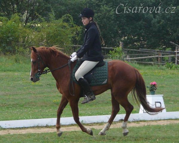 Janek cválá na kruhu na své první drezuře