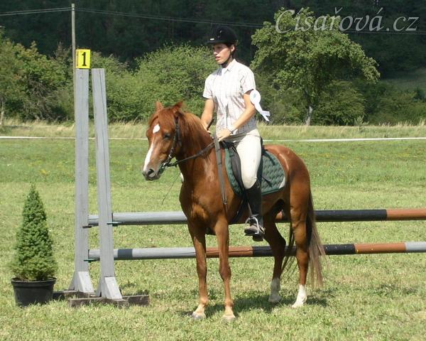 Dekorování, mašle za 2. místo :-)