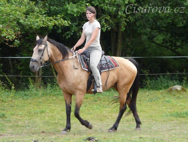 Jízdárna, klidný krok