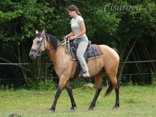 Jízdárna, couvání