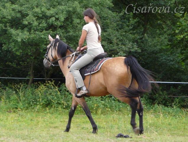 Jízdárna, krok, trochu se vztekám:-)