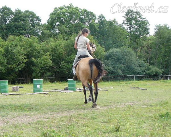 Jízdárna, tak teď nebudu poslouchat:-)