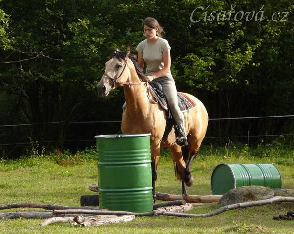 Jízdárna, klus přes kavalety