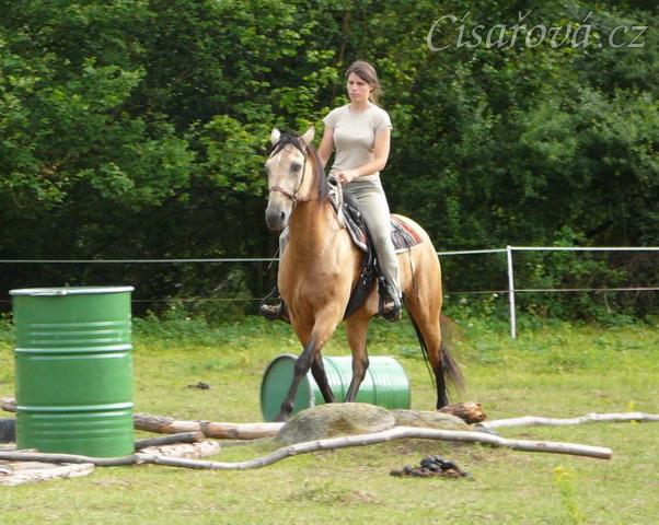 Jízdárna, klus přes kavalety, dá to práci udržet Keisy v klusu:-)