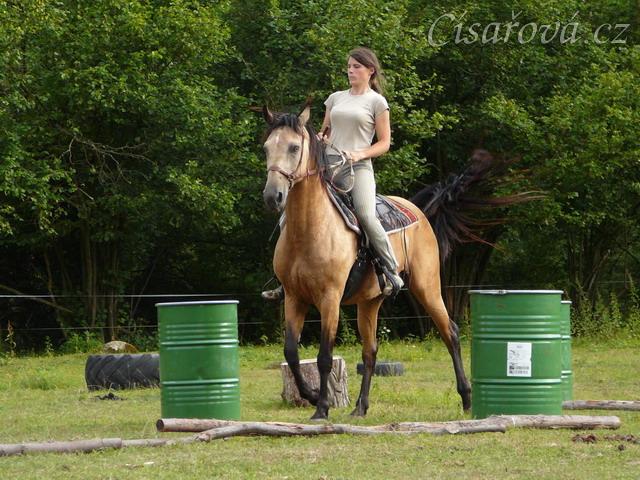 Jízdárna, zastavení před kavaletama