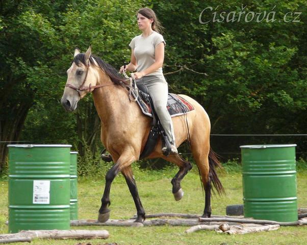 Jízdárna, klus přes kavalety