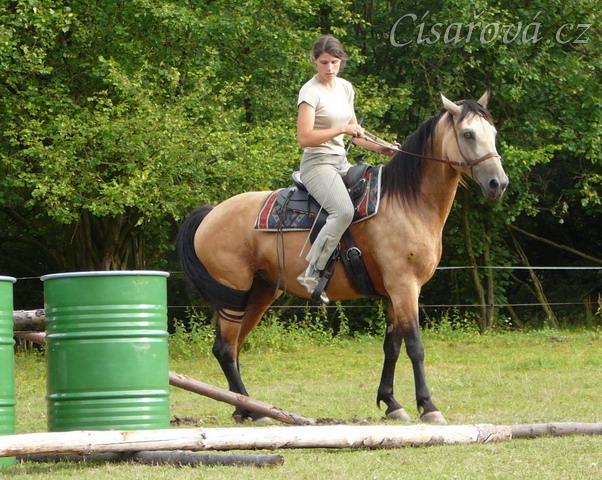 Jízdárna, Keisy nechce přes kavalety a bočí