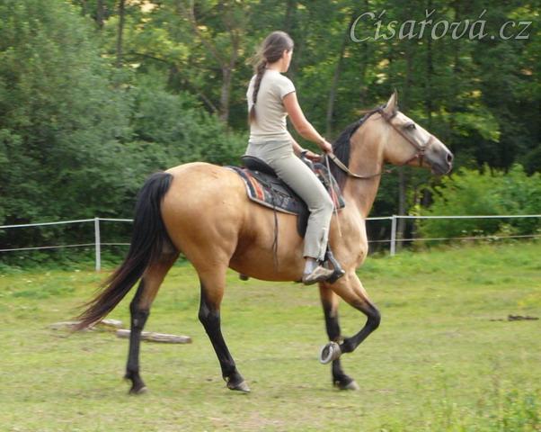 Jízdárna, tam je určitě bubák:-)