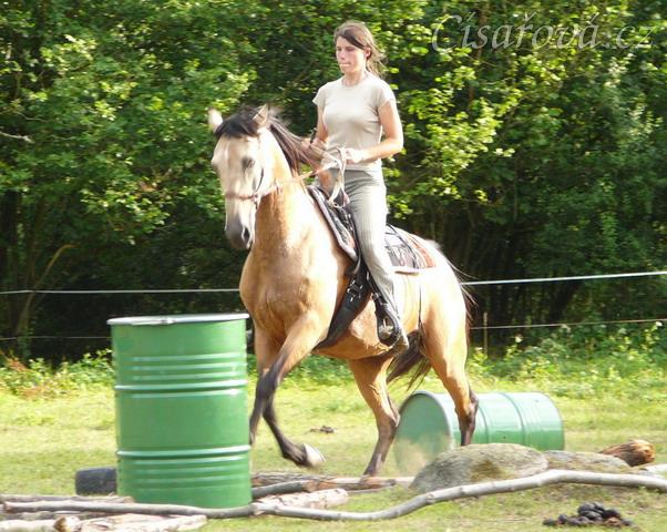 Jízdárna, neplánovaný cval přes kavalety:-)