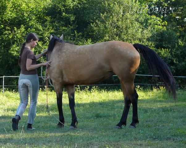 Práce ze země, obrat kolem zadku