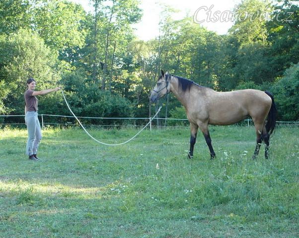 Práce ze země, couvání