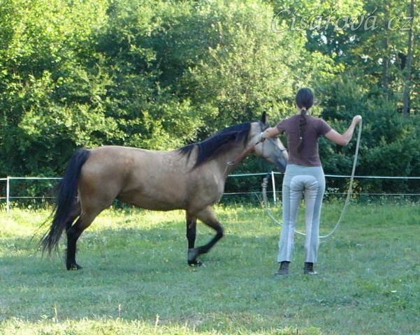 Práce ze země, kruhová hra