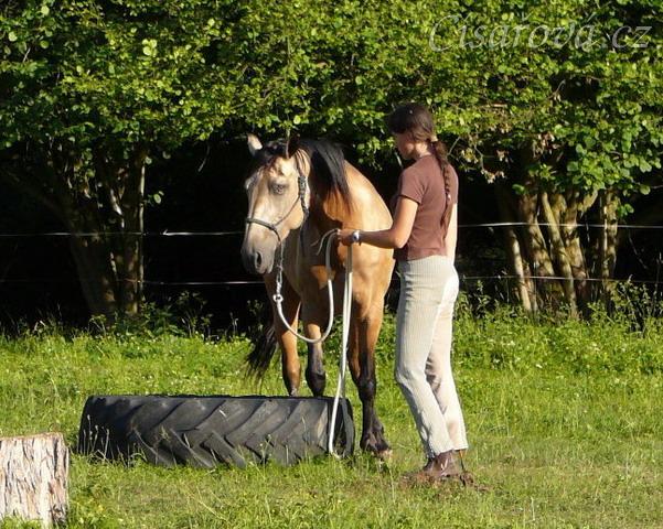 Práce ze země, stoupnutí do pneumatiky